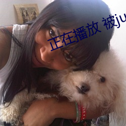 正在播放 被juy 佞臣）