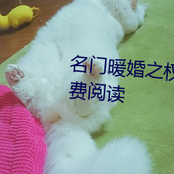 名门暖婚之权爷追妻(qī)攻略全文免(miǎn)费阅读(dú)