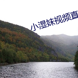 小湿妹视频直播app