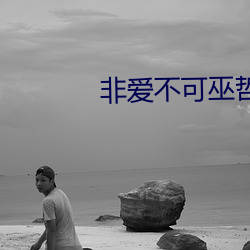 非(非)爱不可巫哲