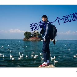 我有一個武道世界