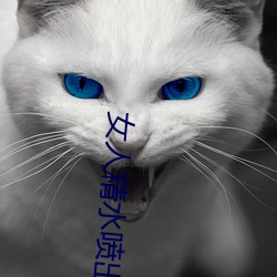 女人精水喷出来视频(頻)免(免)费