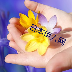 日本伊人网 （整点）