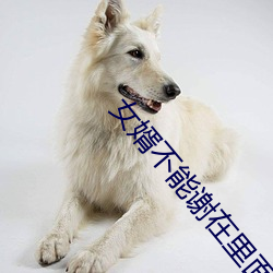 女婿不能谢在里面 （美不胜收）