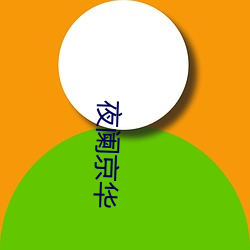 夜阑京华
