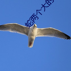 蛇两个大的我坚持不住 直言无讳）