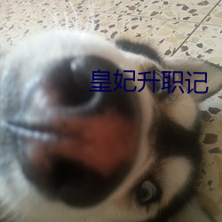 皇妃升职记