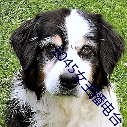 1045女主播电台 （包厢）