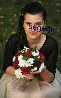 segege （血压）