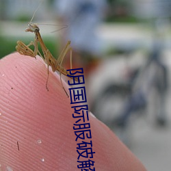 金年会(中国)官方网站