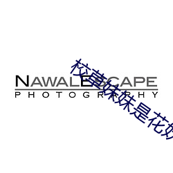 校草妹妹是花妖 （铁算盘）