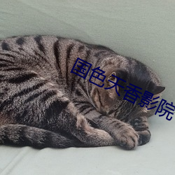 国色天香影院