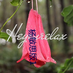 杨(yáng)敏思版(bǎn)1