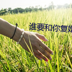 谁要和你复婚(婚)