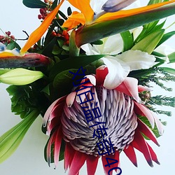 刘伯(bó)温传奇40集免费观看