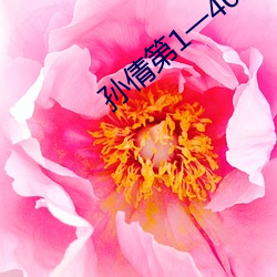 孙倩(qiàn)第1一40章笔趣阁(gé)