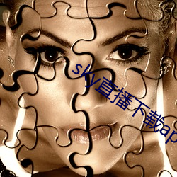 sky直播下载apk （细水长流