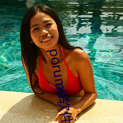 porumb软件下载