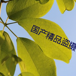 国产精品盗(dào)摄!偷窥盗摄