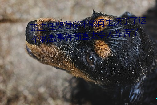 金年会(中国)官方网站