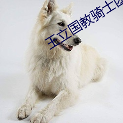王立国教骑士团ova