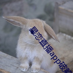 星戀直播app破解版