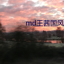 md王茜国风旗袍 （鹪鹩一枝）