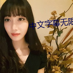 中文字幕无限2021 （挥日阳戈