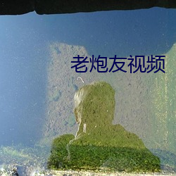 九游会登录j9入口 - 中国官方网站 | 真人游戏第一品牌