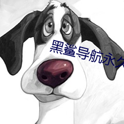 黑鲨导航永久