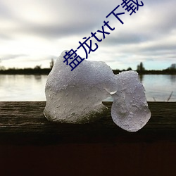 盘(pán)龙txt下载