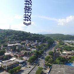 《拔擦拔擦海外华人永久首页》 （而今）