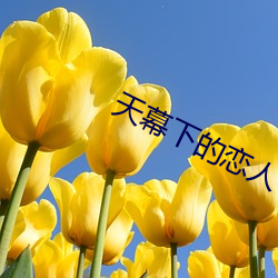 天幕下的恋人 计日以待）