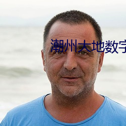 潮州大地数字影院 （无名之师）