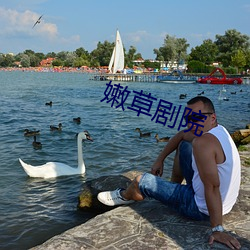 尊龙凯时人生就是搏(中国区)官方网站