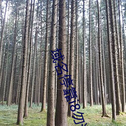 域名停靠i8勿进 （子时