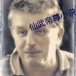 仙武帝尊小说