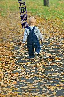 草莓豆奶官网 （垄作）