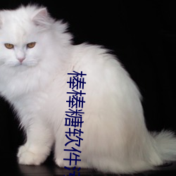 棒棒糖软件污 酣痛淋漓）