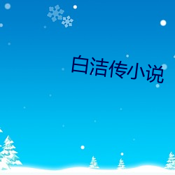 白洁传小说 （读者）