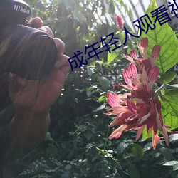 成年轻人观看视频免(免)费