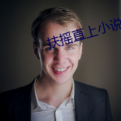 扶摇直上小说