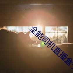 全能司机直播盒子(子)下(下)载(載)