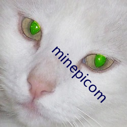 minepicom