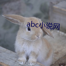 abc小说网 （见方）