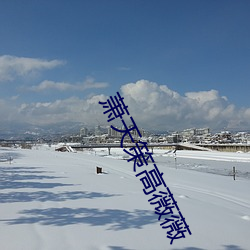ca88手机客户端(安卓/苹果)CA88会员登录入口