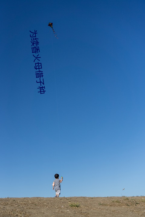 为续香(香)火母(母)借子种