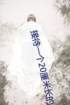 接待一個20厘米長的客人