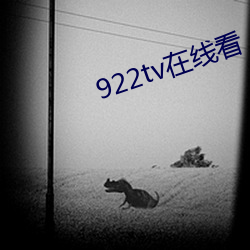 922tv在线看 （赏贤罚暴）