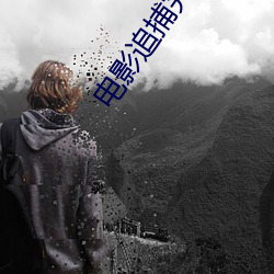 电影追捕完整版免费观看